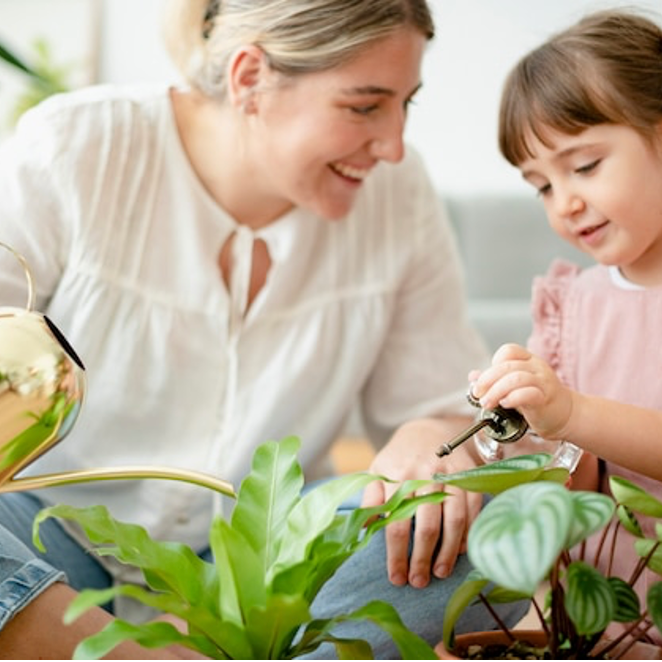 Are Houseplants Safe for Children?