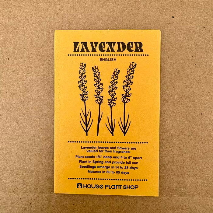 Lavender English Seed
