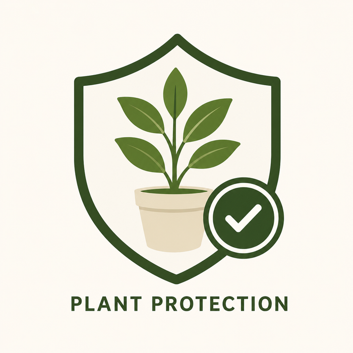 Shipping Protection