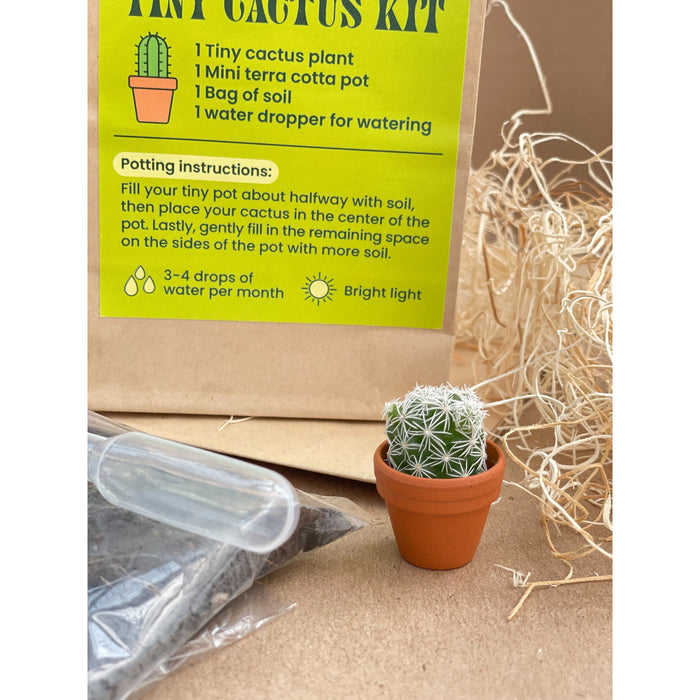 small bag of cactus soil Tiny Cactus Kit