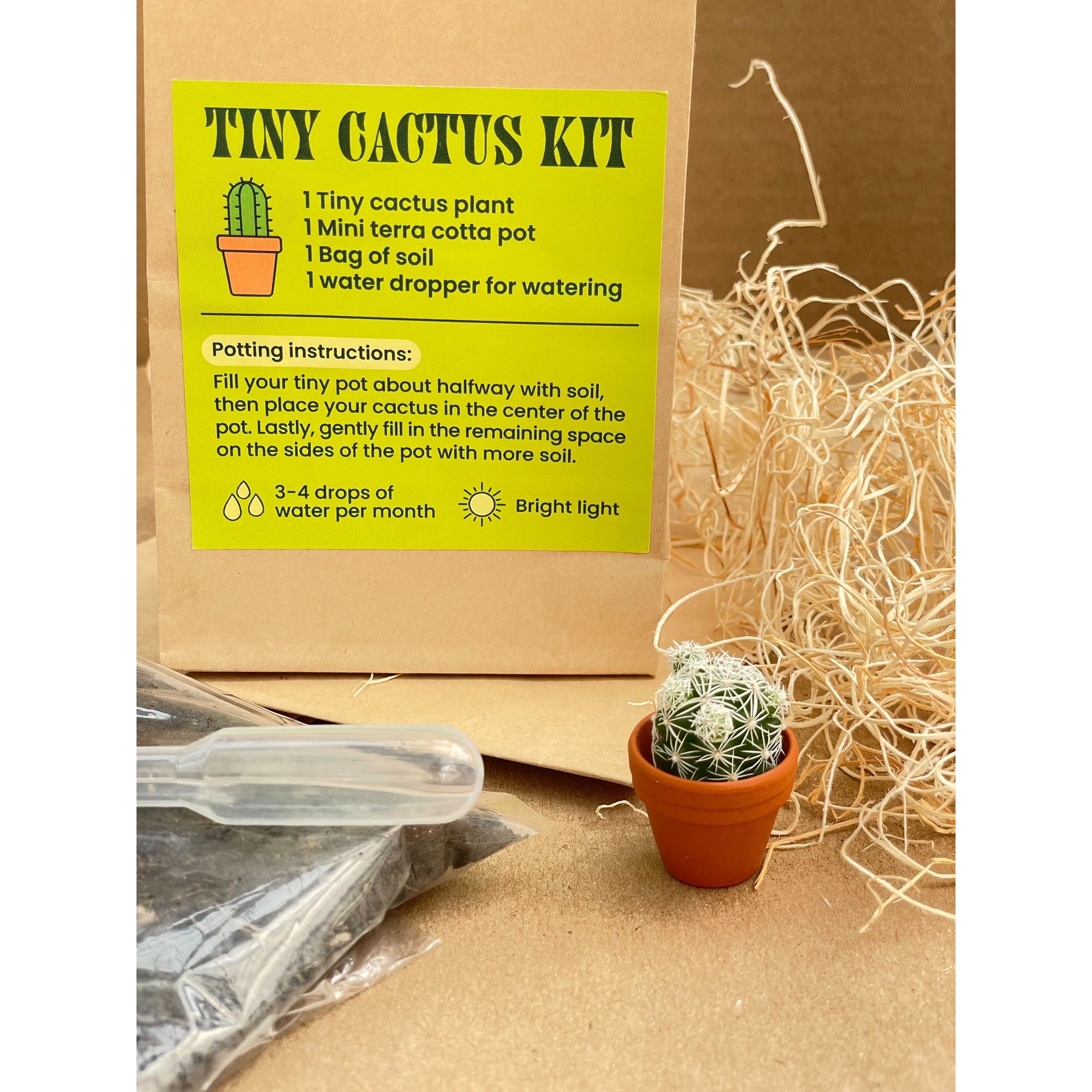Mini Kit Wild Cactus - Cultivea