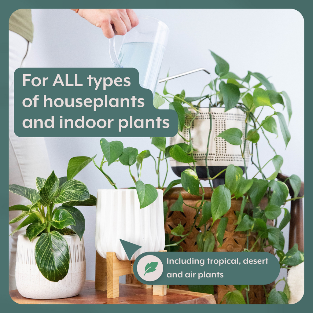 All Pots & Accessories — House Plant Shop