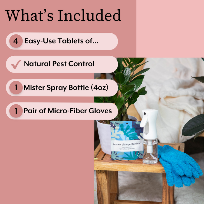 house plant pest spray The Houseplant DEFENSE Bundle (Natural Pest Control + Gloves + Spray B — House Plant Shop