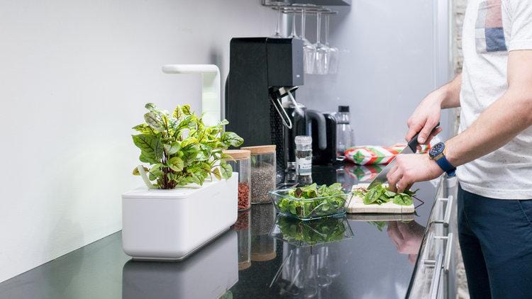 Click & Grow Smart Garden 3 (Gebraucht) in Oberägeri für CHF 62 – mit Click & Grow Smart Garden 3 (Gebraucht) in Oberägeri für CHF 62 – mit
