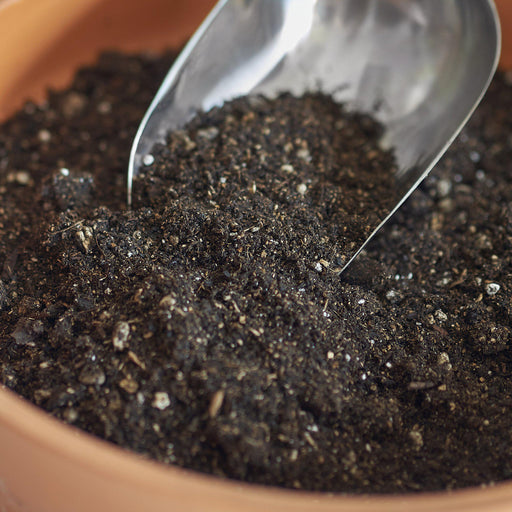 Indoor Plant Potting Soil - 1 lb Bag - House Plant Shop