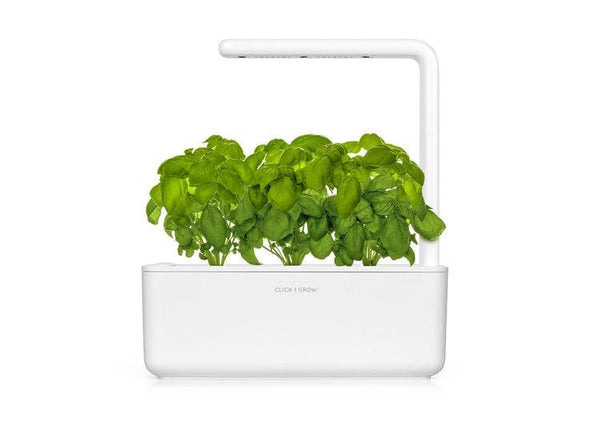 house plant smart gravel Click & Grow | Smart Garden 3