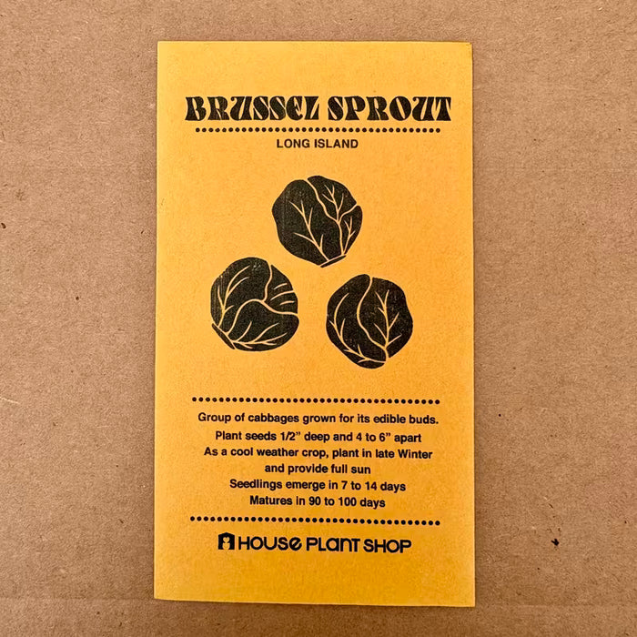 Brussel Sprout Long Island Seeds