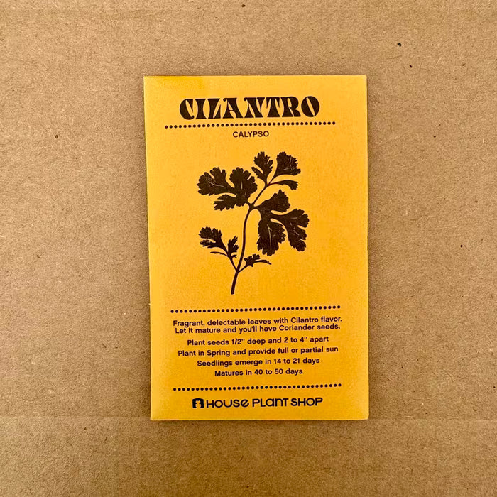 Cilantro Calypso Seeds