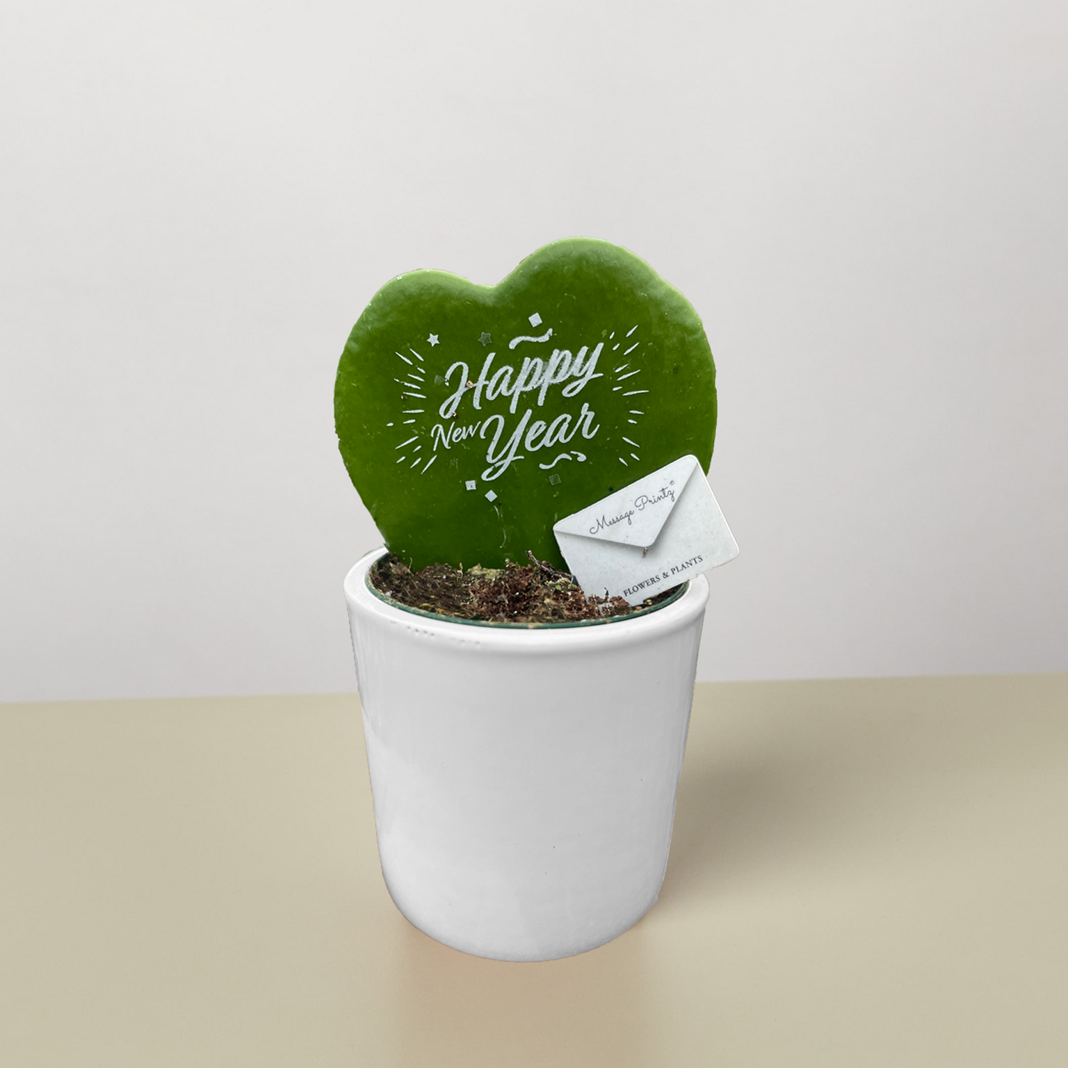 Holiday Plants — House Plant Shop