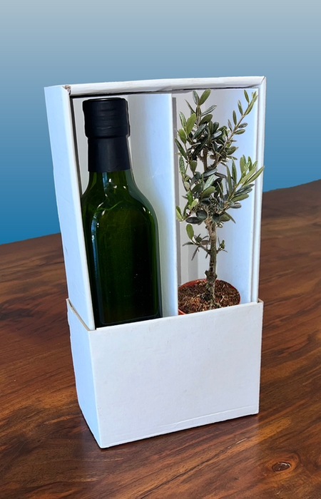 “Olive You More” Olive Tree & Premium Olive Oil Gift Bundle