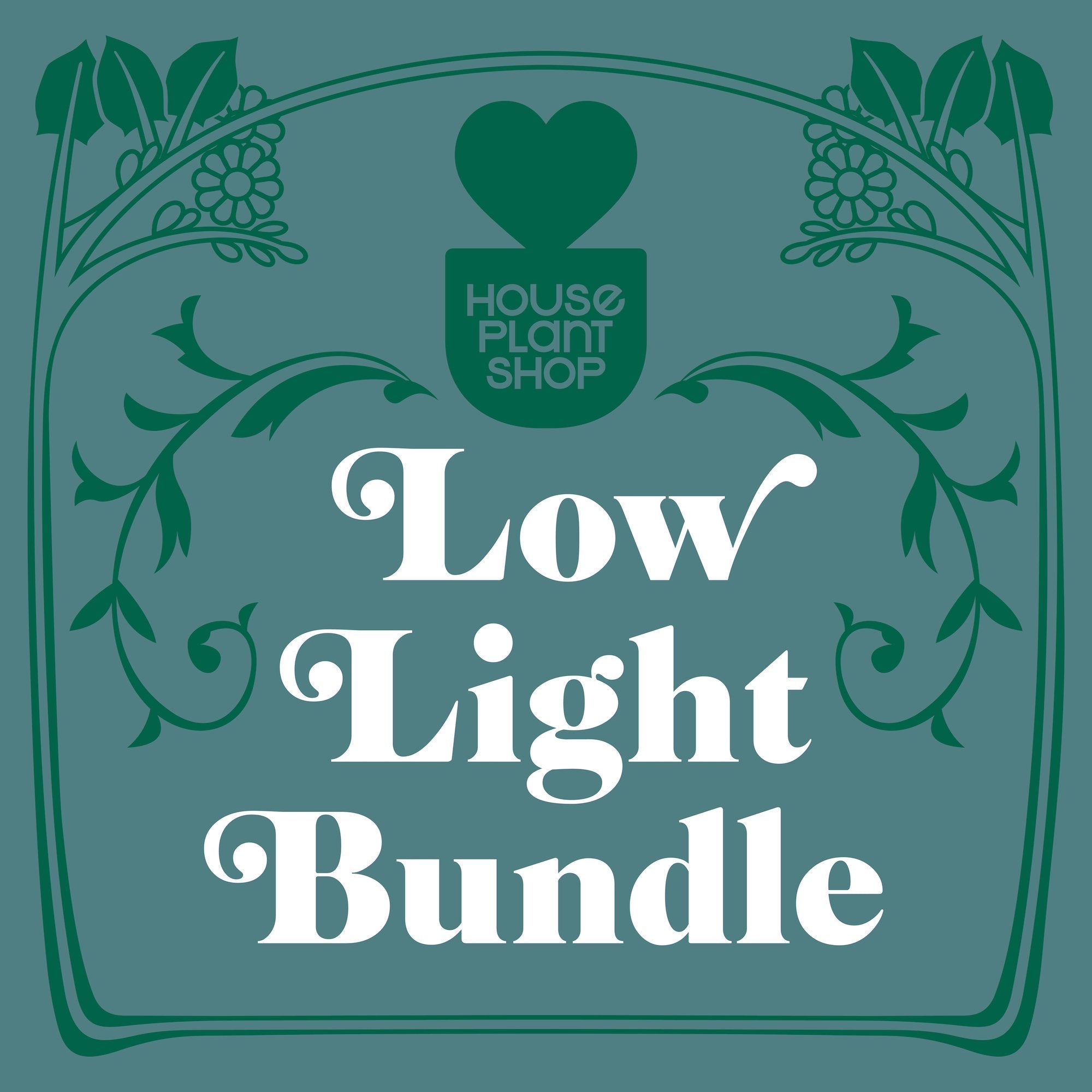 Low Light Bundle - House Plant Shop