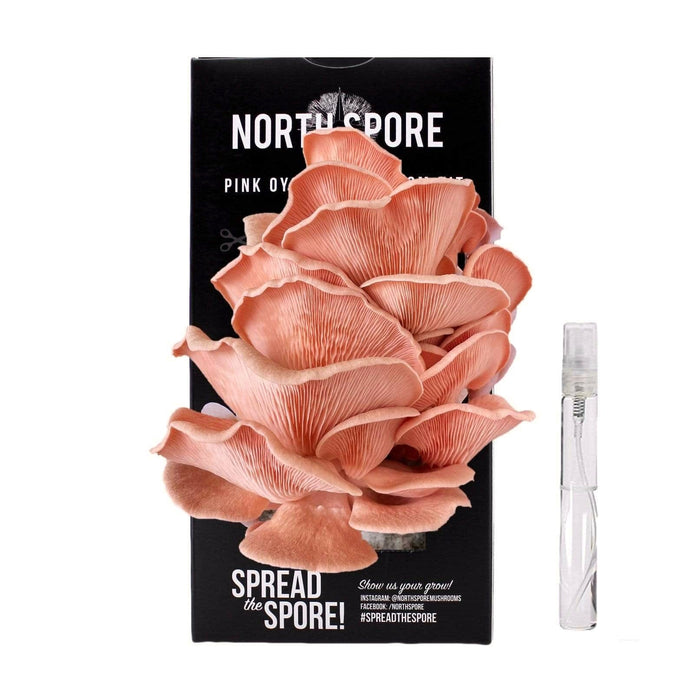 Pink Oyster Mushroom Spray & Grow Kit by North Spore