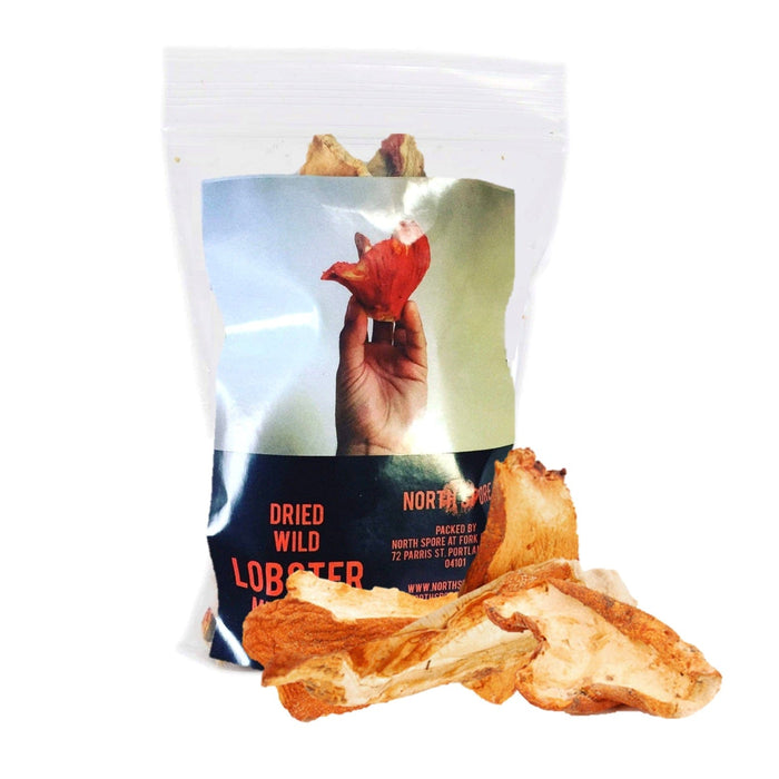 Dried Wild Lobster Mushrooms by North Spore