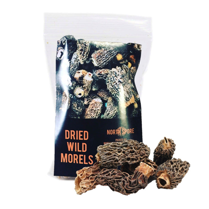Dried Wild Morel Mushrooms by North Spore