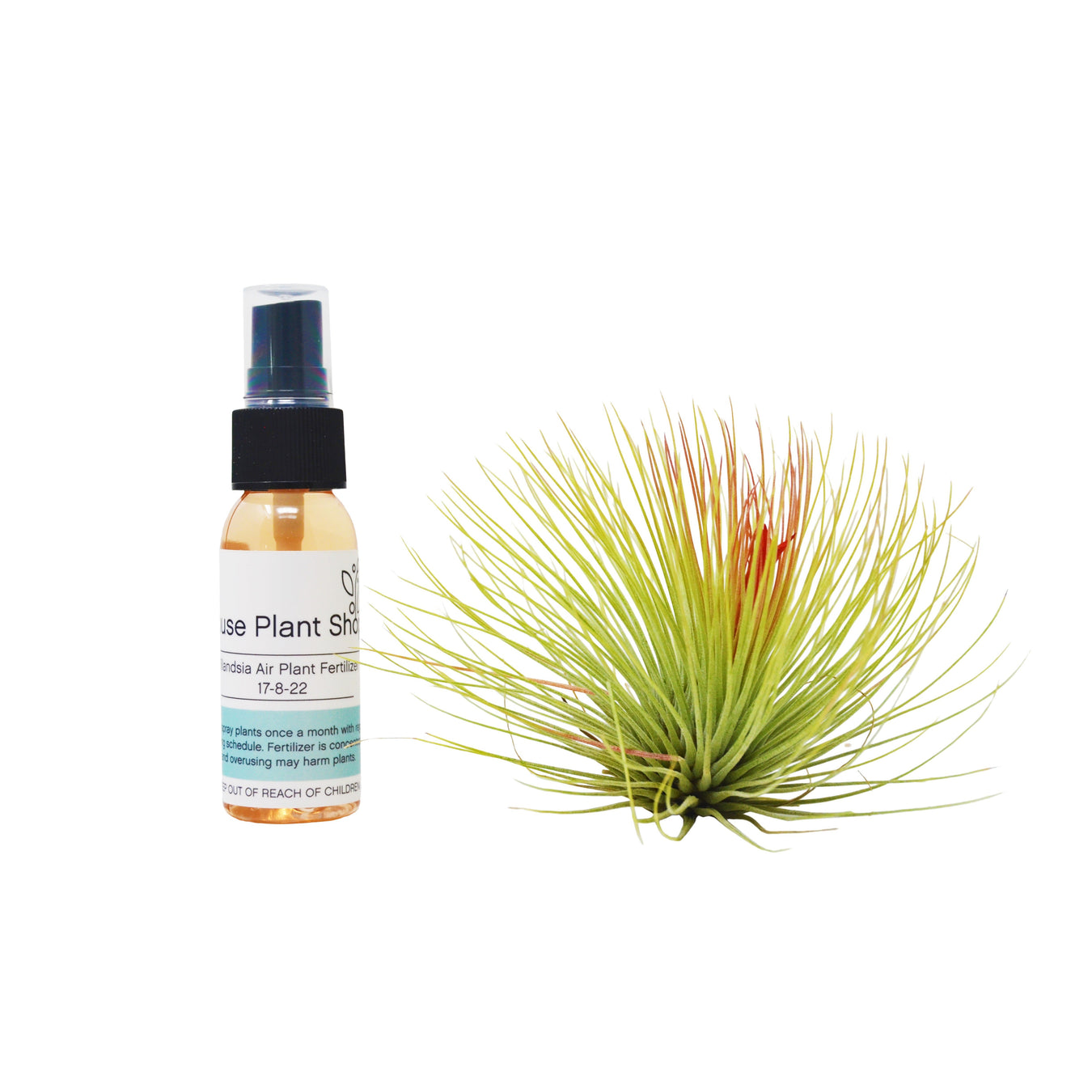 For the House Plant Lover who loves Airplants.