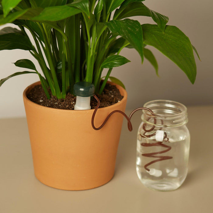 auto water house plants Automatic Plant Waterers