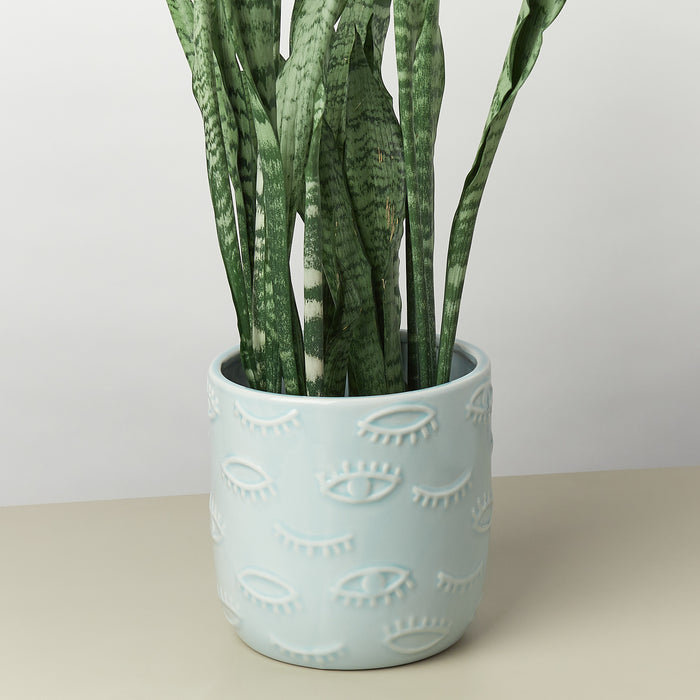 7 inch indoor planter Eyes Pot