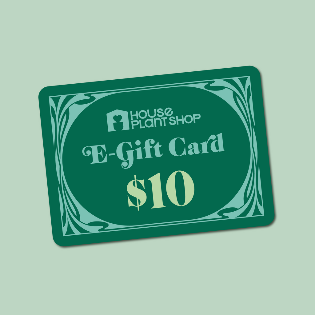 house plant box coupon $10 Gift Card