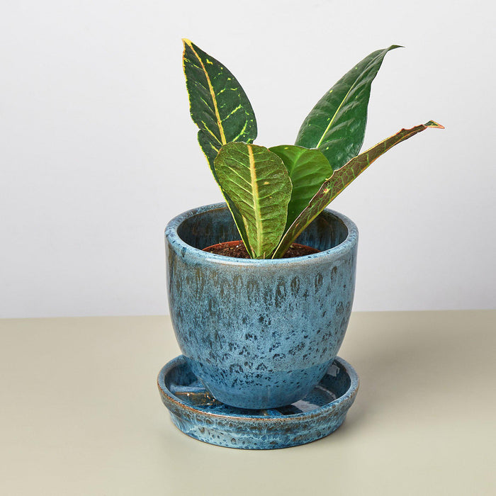 bell pot planter Liberty Bell Planter