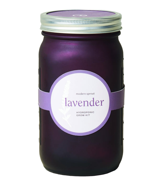 Garden Jar 6pk (Basil, Cilantro, Mint, Parsley, Rosemary, Lavender)