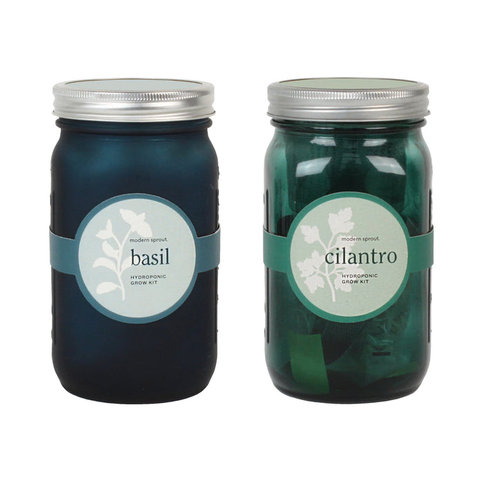Glass Jar Grow Set - Basil + Cilantro