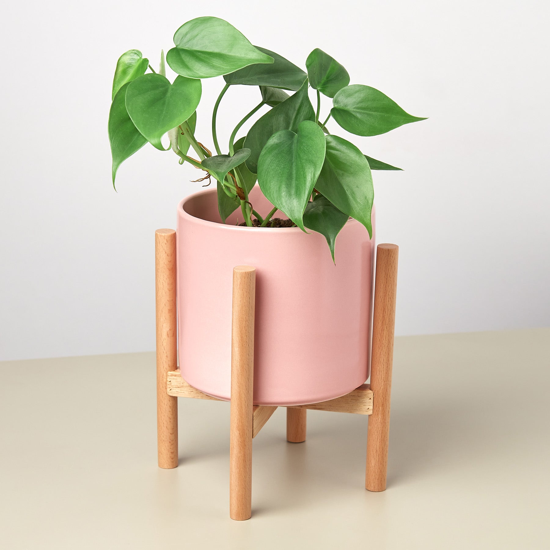 Cylinder Planter with Wood Stand - 5