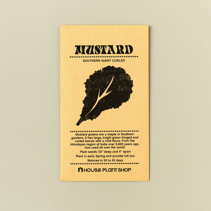 Mustard 'Southern Giant Curled' Seed Packet