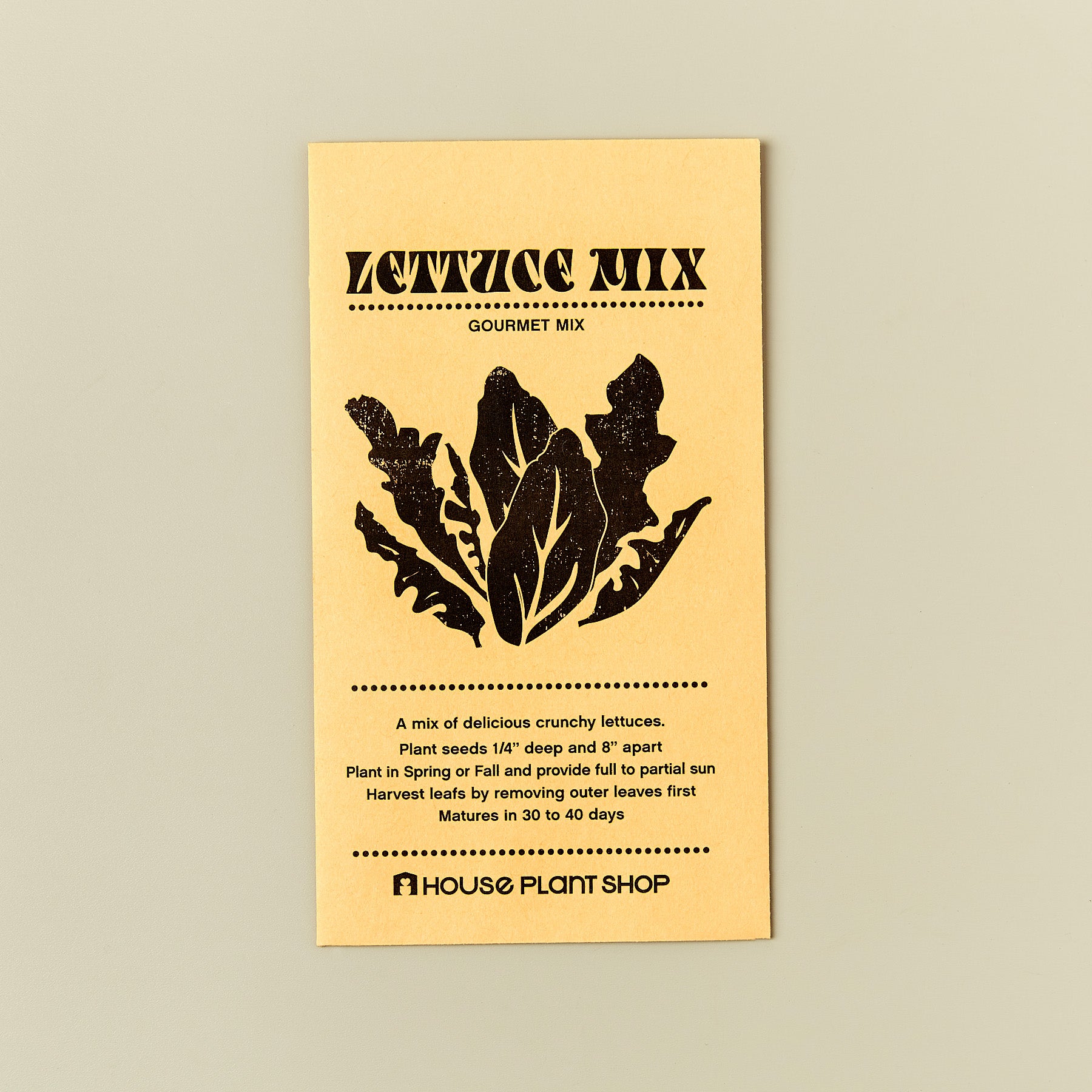 Lettuce 'Mixed Greens' Seed Packet - House Plant Shop