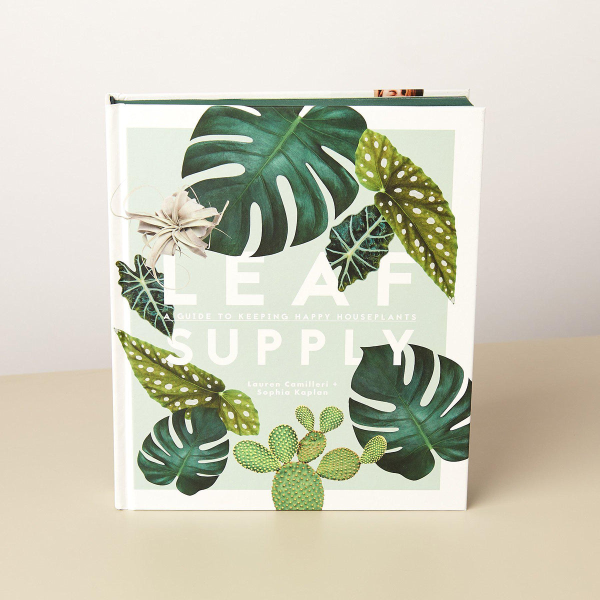 leaf supply a guide to keeping happy house plants Book