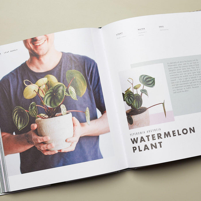 house plants supplies Book