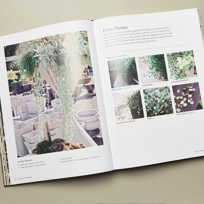 terrain the house plant book Book