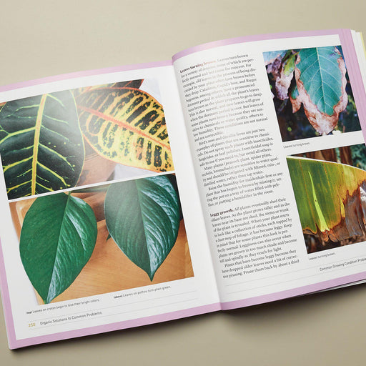 is it bad to have plants in the house Book - What's Wrong with My House Plant?