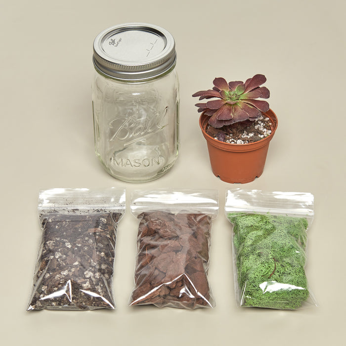 succulent mason jar terrarium Mason Jar Terrarium Kit