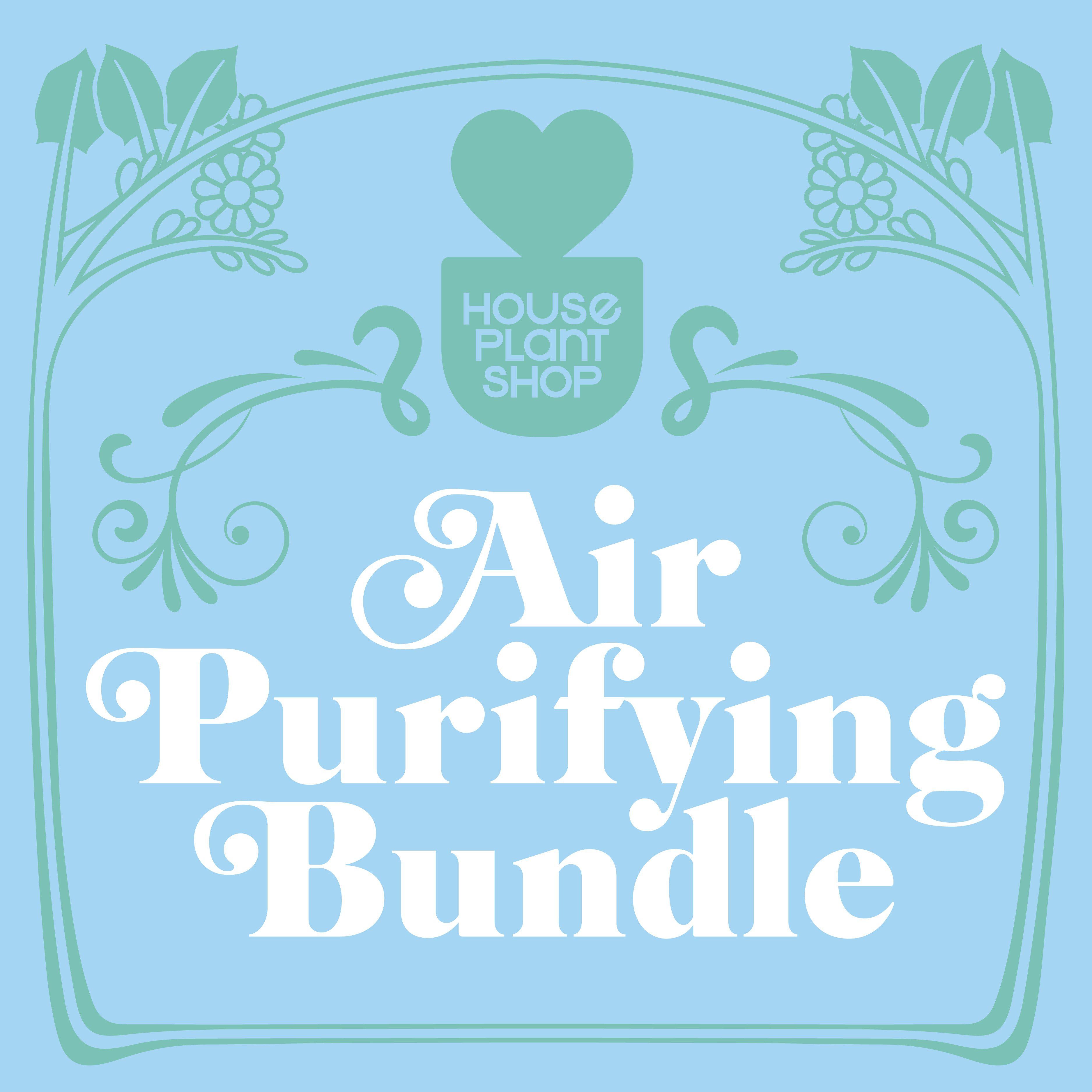Air purifying bundle