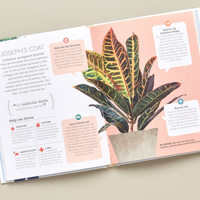 the big book of house plants Book - My Houseplant Changed My Life