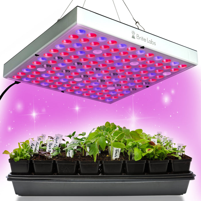 best grow light for indoor tomato plants Brite Labs - Gaze Grow Light | Indoor Plant | Tropical Plant