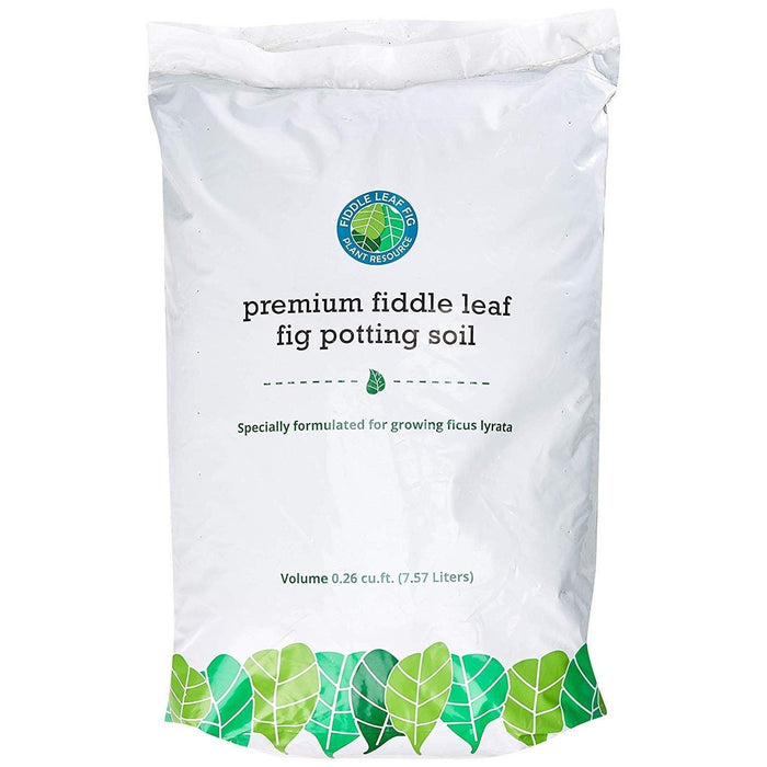Premium Fiddle Leaf Fig Potting Soil - House Plant Shop