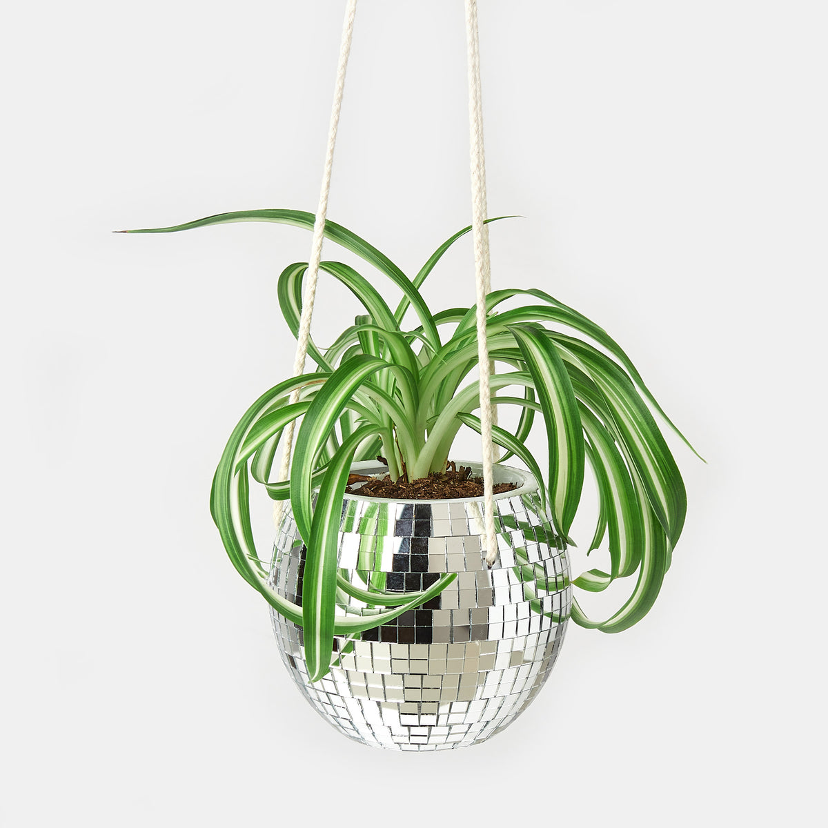 disco plant pot Disco Ball Hanging Planters