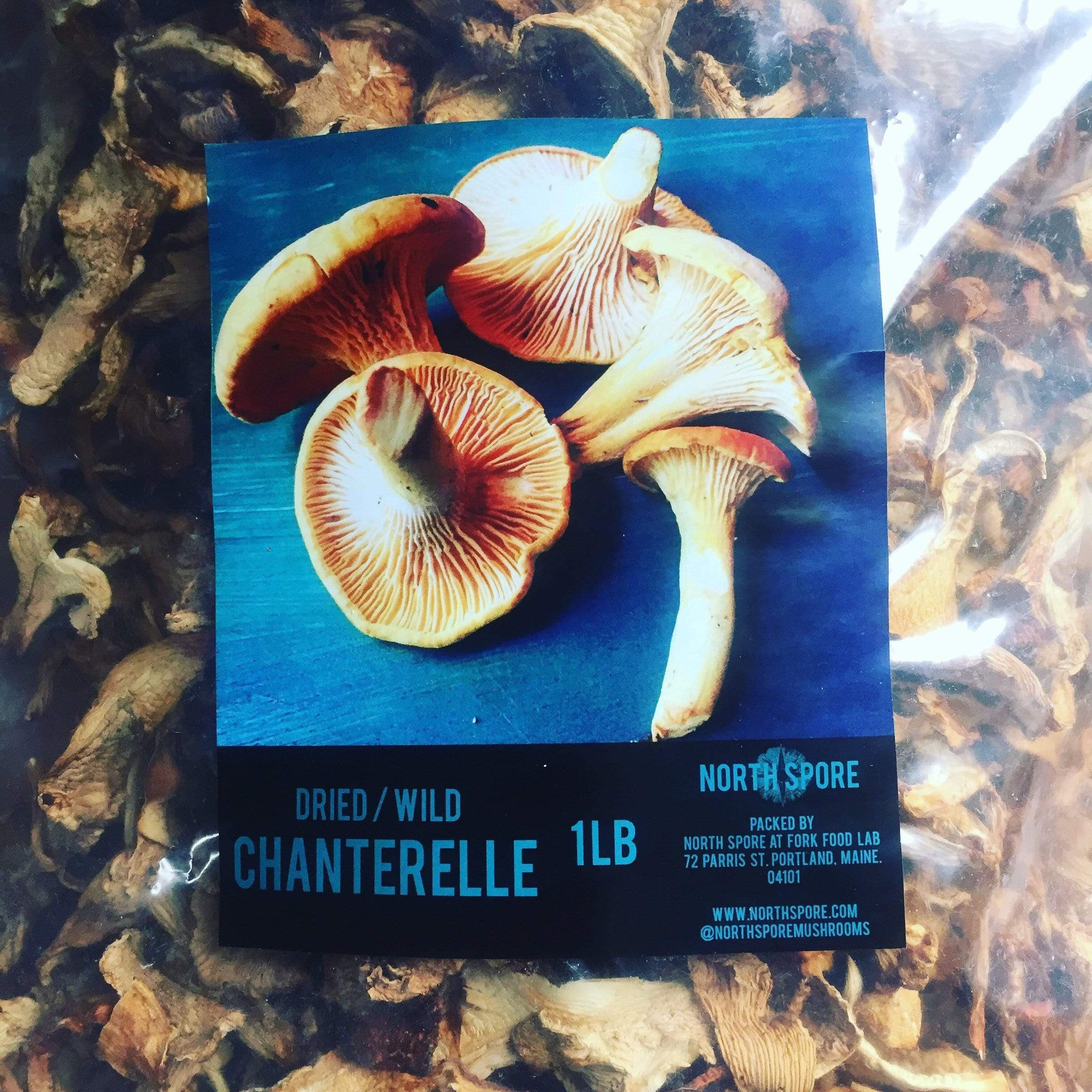 Dried Wild Chanterelle Mushrooms by North Spore