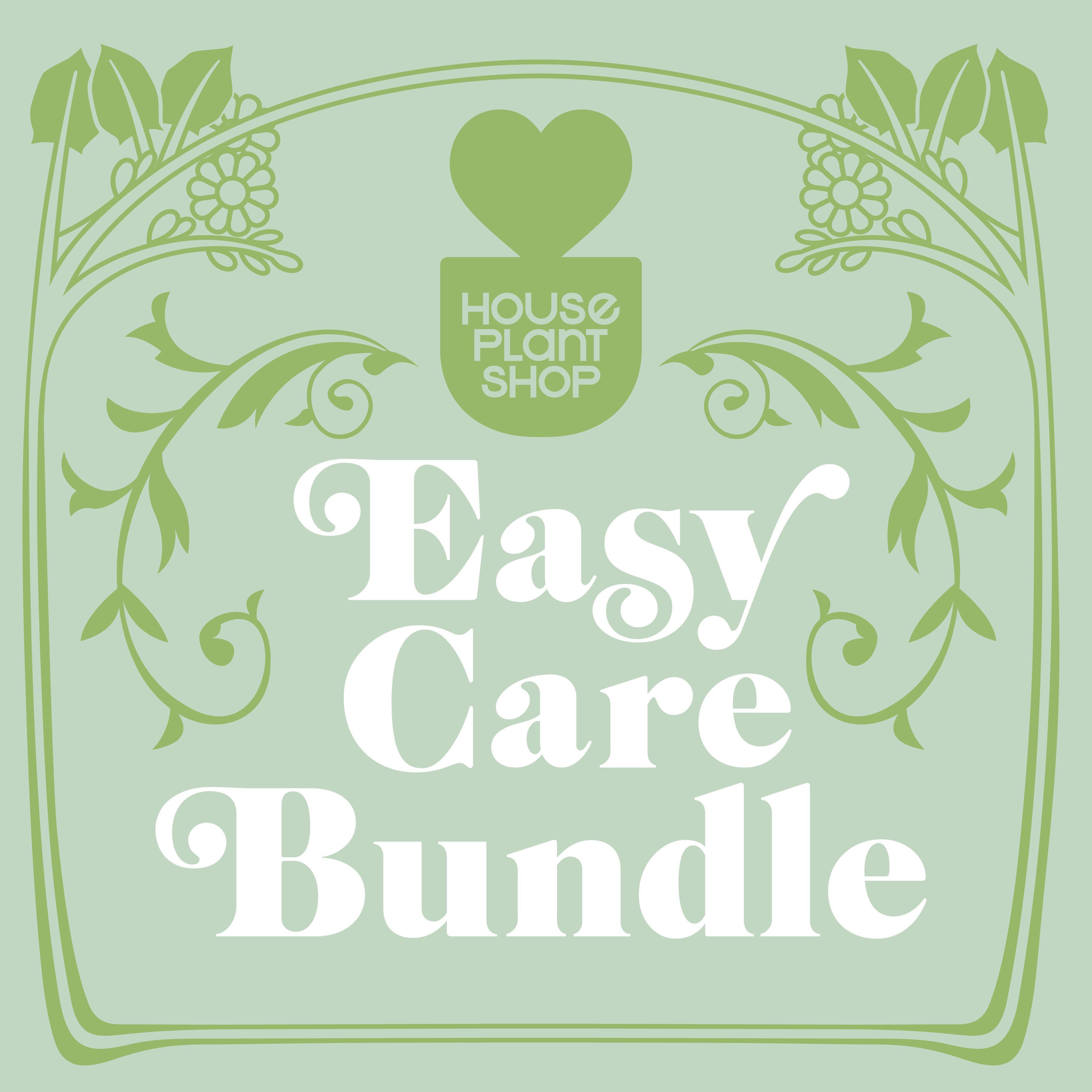 Easy Care Variety Bundle - House Plant Shop