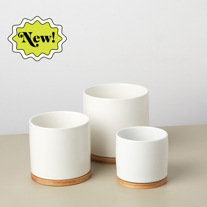 White Cylinder Pots with Wood Saucers - Set of 3